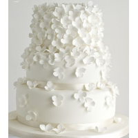 Love Petals Cake